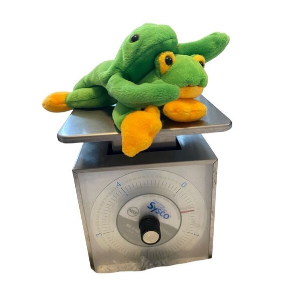 Lot of 2 Smoochy Legs The Frog Ty Beanie Baby Plush Collectible Vintage 90s - Picture 12 of 12